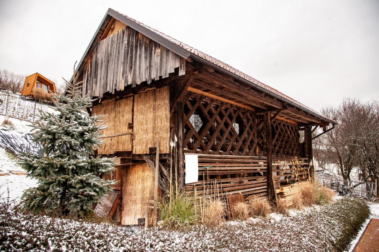 Panorama Glamping Visole Hotel Slovenska Bistrica Exterior photo